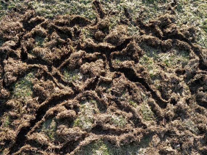 1751393841 426 19 vezes que os internautas capturaram fenomenos raros em fotos 1623776144 116 19 vezes que os internautas capturaram fenomenos raros em fotos