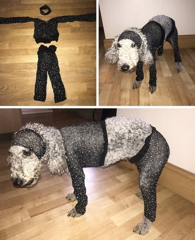 1573008535 382 16 Pessoas que compraram pela internet e foram surpreendidas negativamente