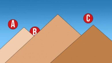 1751395512 teste psicologico em cima de qual piramide voce colocaria o 1591319596 TESTE PSICOLOGICO em cima de qual piramide voce colocaria o
