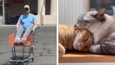 15 Fotos que podem fazer pegadinhas com o cérebro de qualquer um