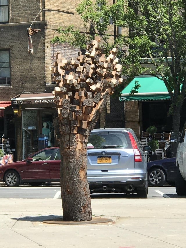 1751397706 22 21 fotos extraordinarias de coisas inusitadas que vao surpreende lo 1647020699 533 21 imagens extraordinarias de coisas incomuns que irao surpreende lo