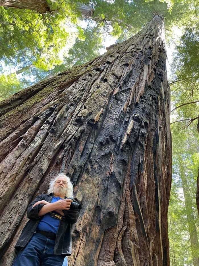1625001893 549 20 Objetos e animais que de tao grandes que fazem