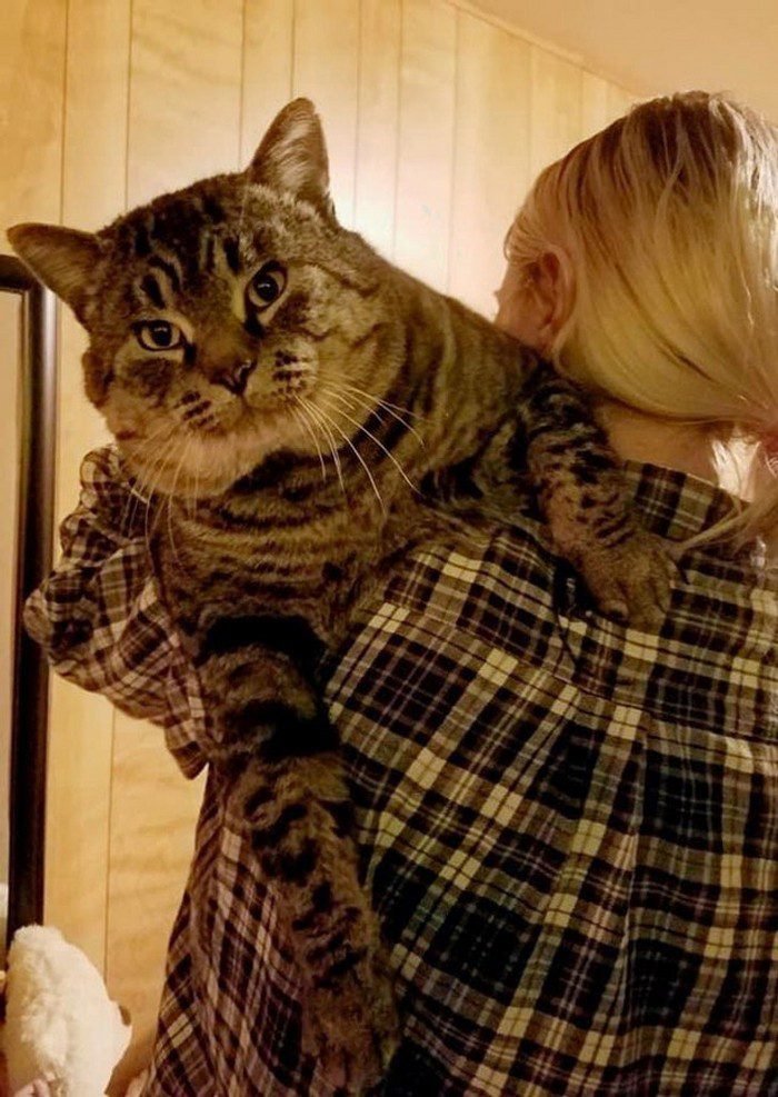 1751402196 708 14 fotos que provam que algumas coisas podem ser muito 1646272828 657 14 Fotos provando que algumas coisas podem ser muito maiores