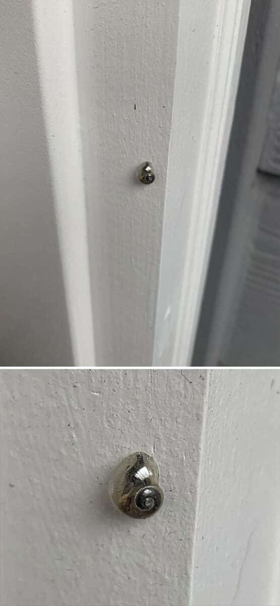 1751406498 793 18 fotos incriveis que mostram coisas raramente vistas 1600944542 16 19 fotos incriveis que mostram coisas raramente vistas