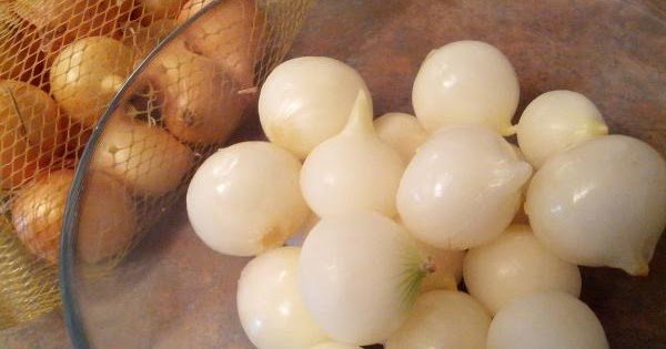 Como fazer conserva de cebola