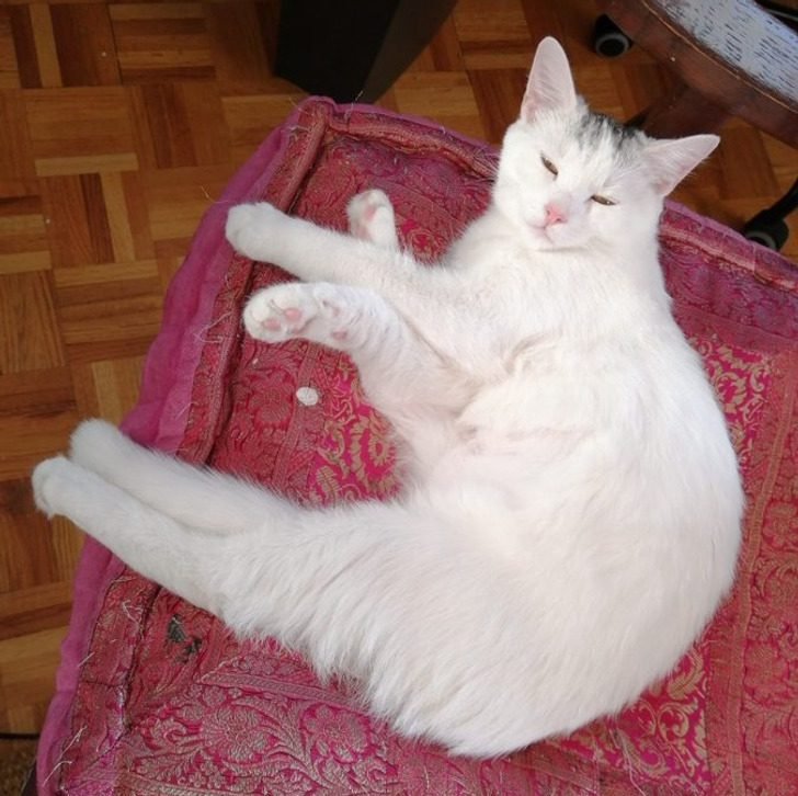 1751412673 944 19 imagens confusas que voce tera que pensar muito para 1647699149 611 19 imagens confusas que voce tera que pensar muito para