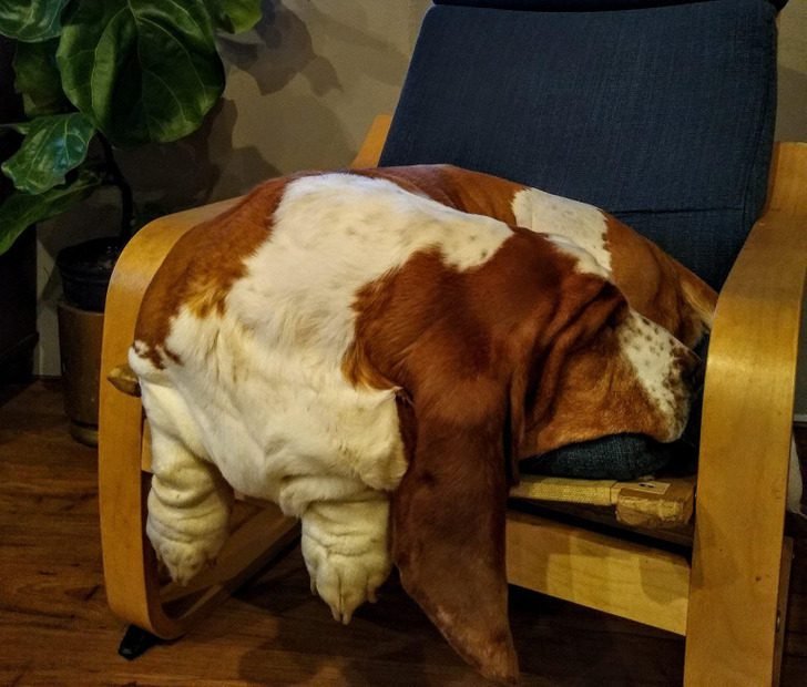 1647699151 347 19 imagens confusas que voce tera que pensar muito para