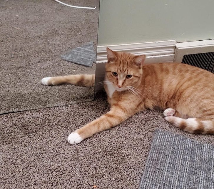 1751412680 393 19 imagens confusas que voce tera que pensar muito para 1647699154 739 19 imagens confusas que voce tera que pensar muito para