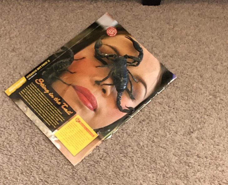 1751412681 996 19 imagens confusas que voce tera que pensar muito para 1647699155 930 19 imagens confusas que voce tera que pensar muito para