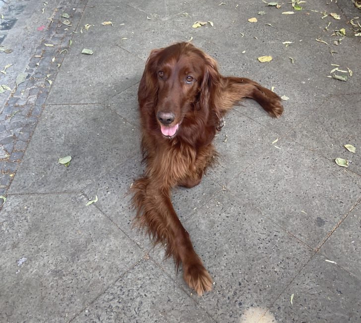 1751412690 892 19 imagens confusas que voce tera que pensar muito para 1647699162 296 19 imagens confusas que voce tera que pensar muito para