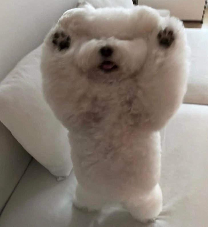 1751412692 625 19 imagens confusas que voce tera que pensar muito para 1647699163 876 19 imagens confusas que voce tera que pensar muito para