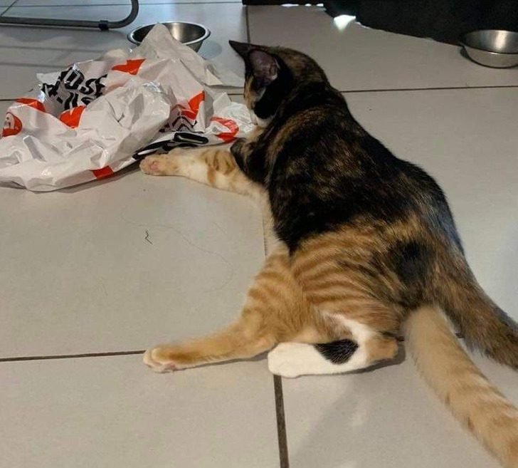 1751412698 124 19 imagens confusas que voce tera que pensar muito para 1647699168 517 19 imagens confusas que voce tera que pensar muito para