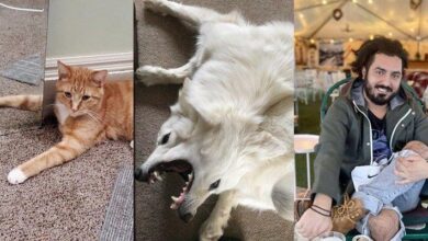 19 imagens confusas que você terá que pensar muito para entendê-las