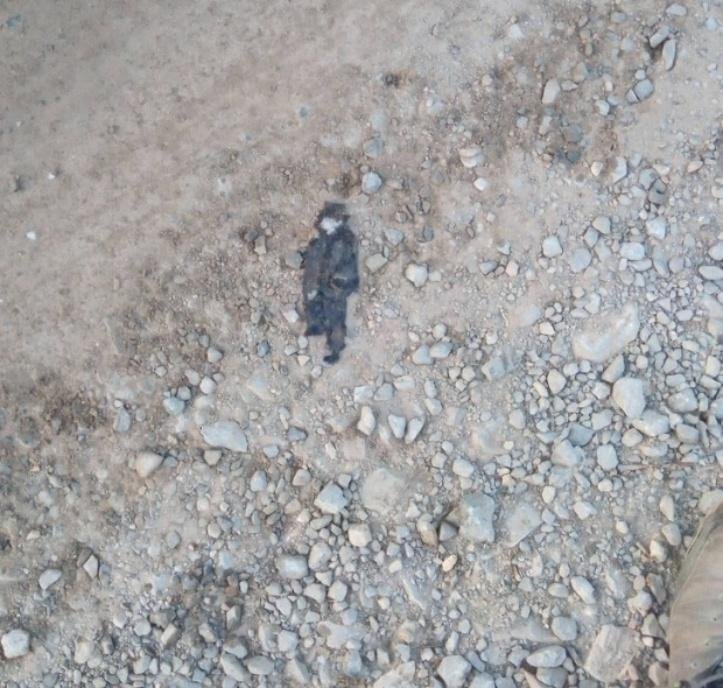 1614311496 978 15 coincidencias provando que o mundo tem um otimo senso