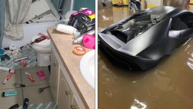 24 pessoas que estão claramente tendo um dia pior do que gostariam