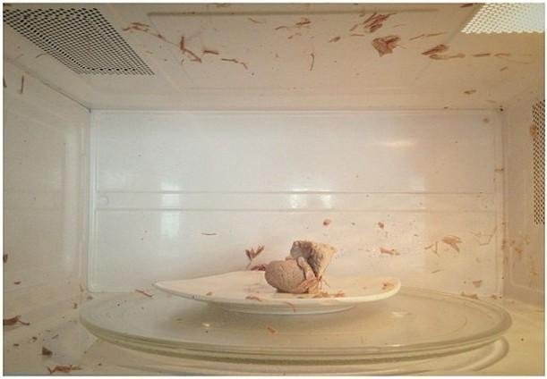 1614610932 245 15 Pessoas que nao fazem a minima ideia de como