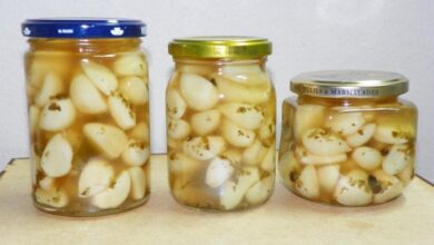 Como fazer alho em conserva: praticidade para sua cozinha
