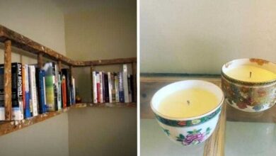 15 Ideias e dicas para dar ao seu lixo uma segunda chance