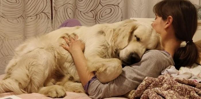 1751420055 748 15 fotos que mostram o amor mais puro em todas 1628637912 775 15 Fotos que mostram o amor mais puro em todas