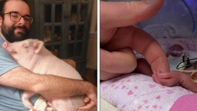 1751420065 15 fotos que mostram o amor mais puro em todas 15 Fotos que mostram o amor mais puro em todas as suas formas