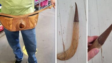 1751420427 15 vezes as pessoas nao tinham ideia do que estavam 15 vezes as pessoas não tinham ideia do que estavam vendo e a internet ajudou um pouco