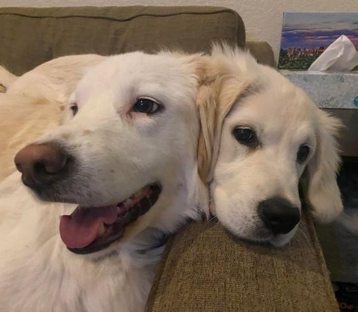 1638585445 395 18 Imagens que podem confundir ate as mentes mais atentas