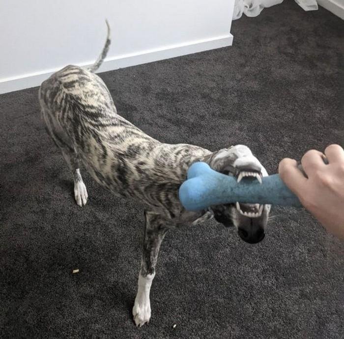 1638585450 732 18 Imagens que podem confundir ate as mentes mais atentas