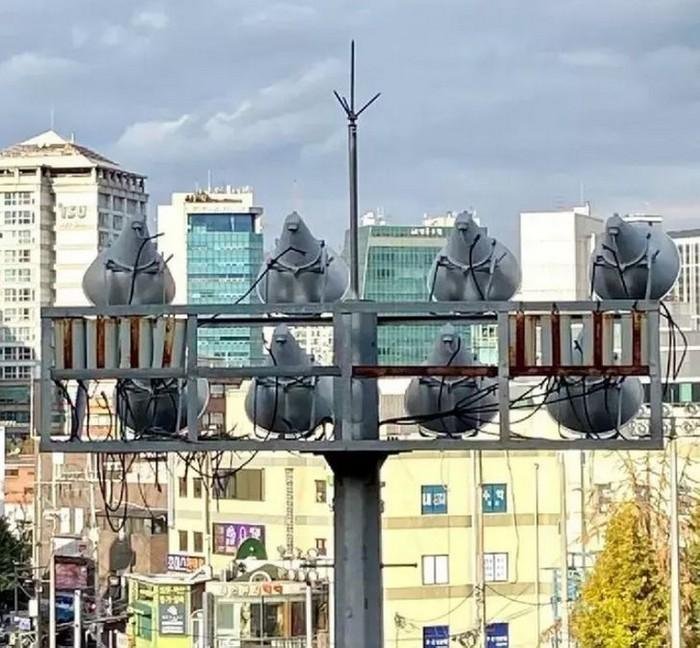 1638585455 615 18 Imagens que podem confundir ate as mentes mais atentas