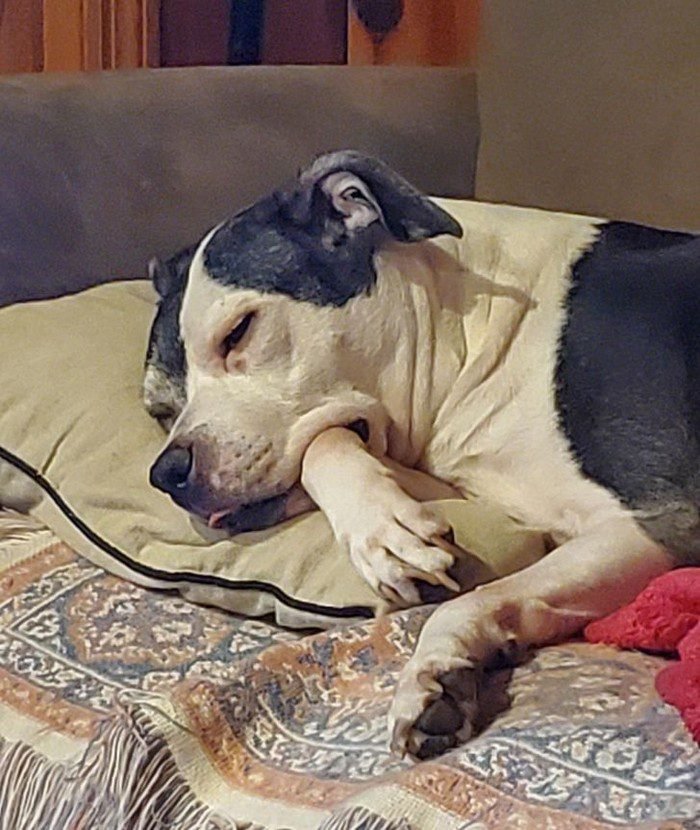 1638585457 584 18 Imagens que podem confundir ate as mentes mais atentas