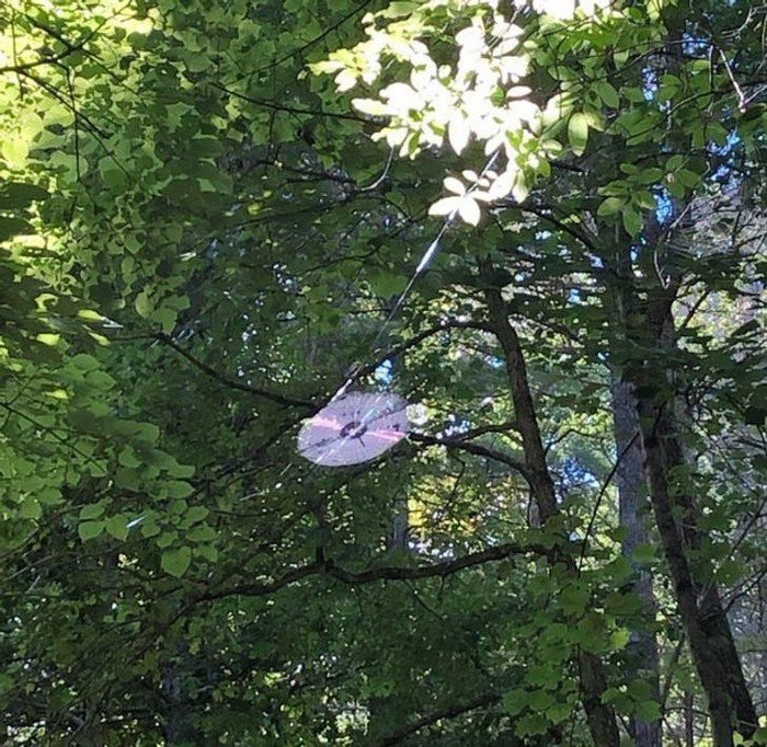 1638585460 976 18 Imagens que podem confundir ate as mentes mais atentas