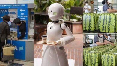 23 fotos e fatos que mostram que o Japão é diferente de qualquer outro país