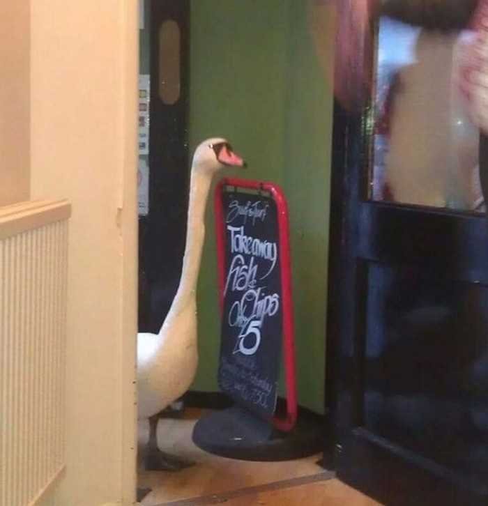 1627427667 886 17 Fotos tiradas no momento em que o caos esta