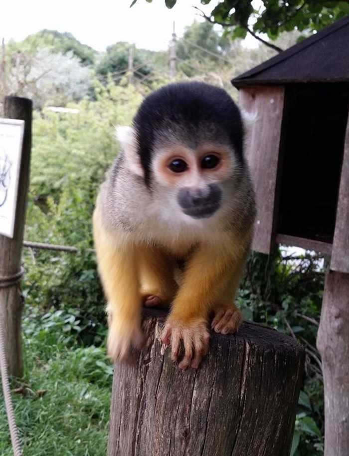 1627427669 811 17 Fotos tiradas no momento em que o caos esta