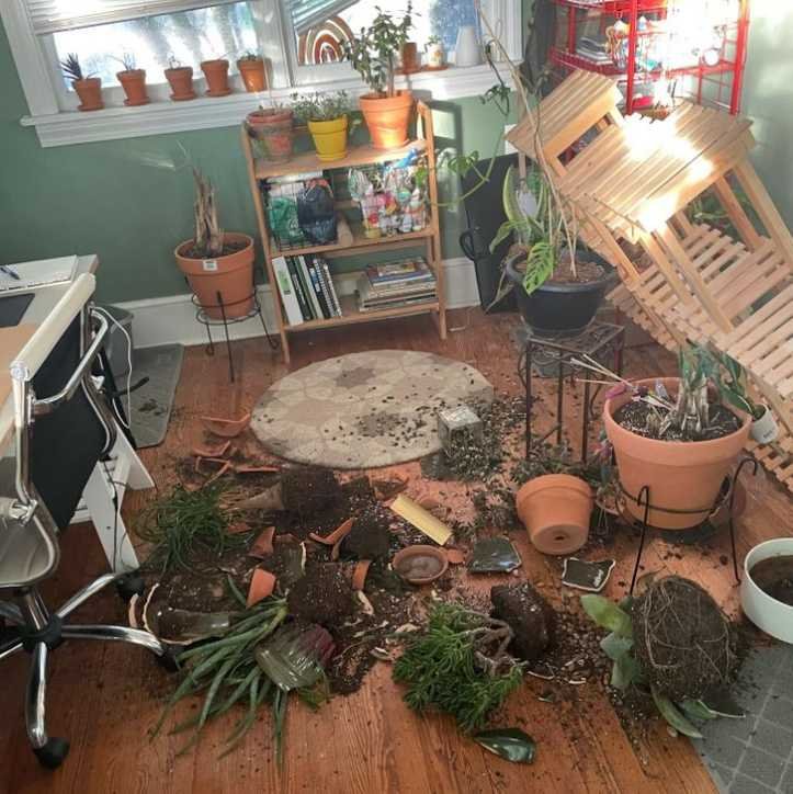 23 internautas mostram situacoes cotidianas absurdas capazes de tirar qualquer