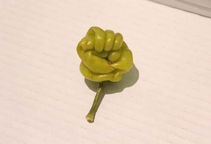 1611023931 217 24 Frutas e legumes que foram modificados pela natureza de