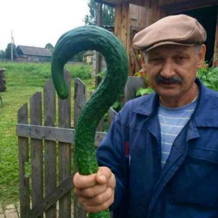 1611023932 687 24 Frutas e legumes que foram modificados pela natureza de