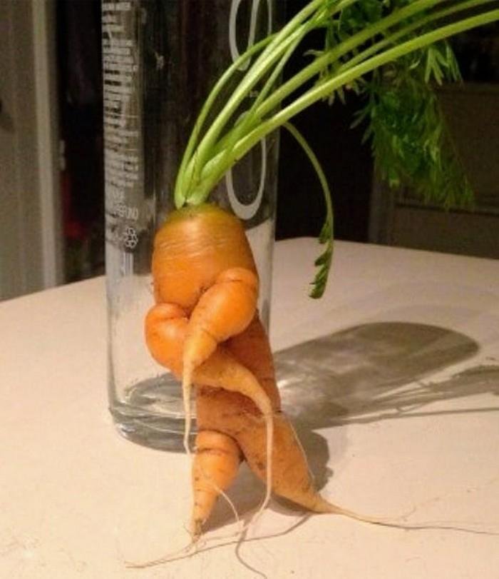 1611023933 241 24 Frutas e legumes que foram modificados pela natureza de