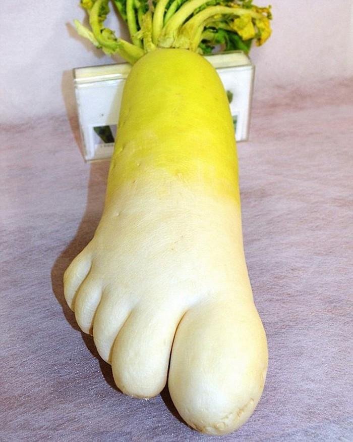 1611023934 644 24 Frutas e legumes que foram modificados pela natureza de