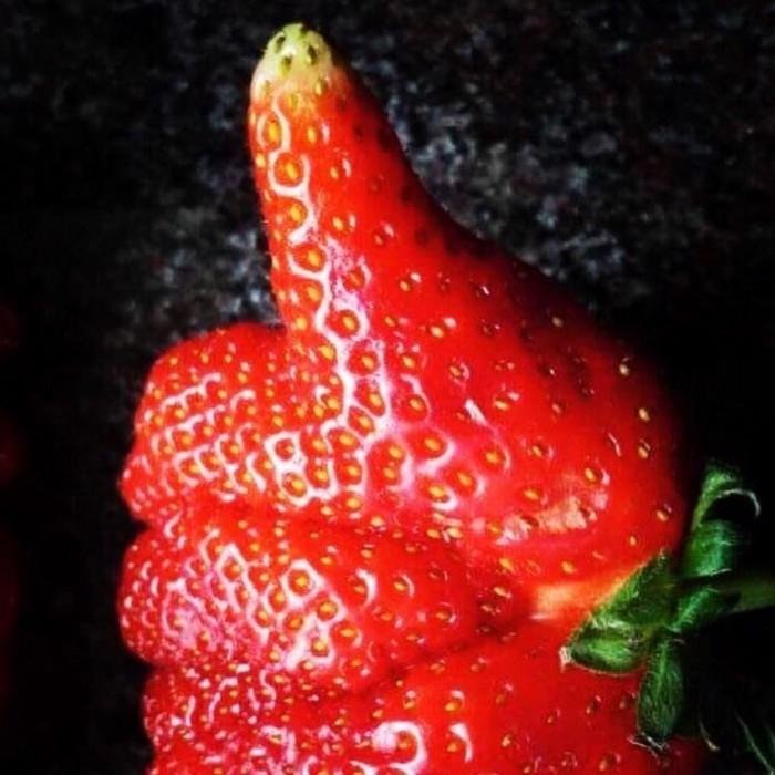 1611023934 508 24 Frutas e legumes que foram modificados pela natureza de