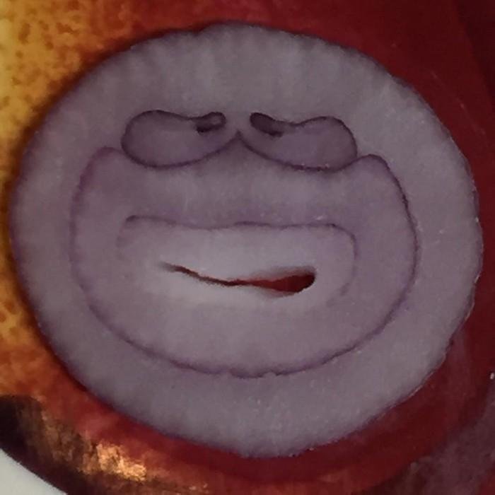 1611023935 999 24 Frutas e legumes que foram modificados pela natureza de