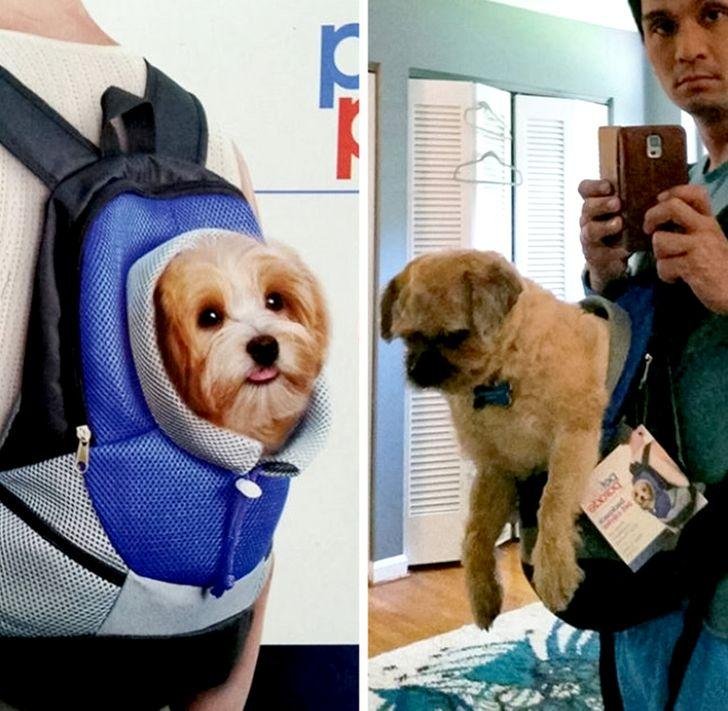 1751424985 110 20 pessoas que sabem o que significa se arrepender de 1636917716 892 20 pessoas que sabem o que significa se arrepender de