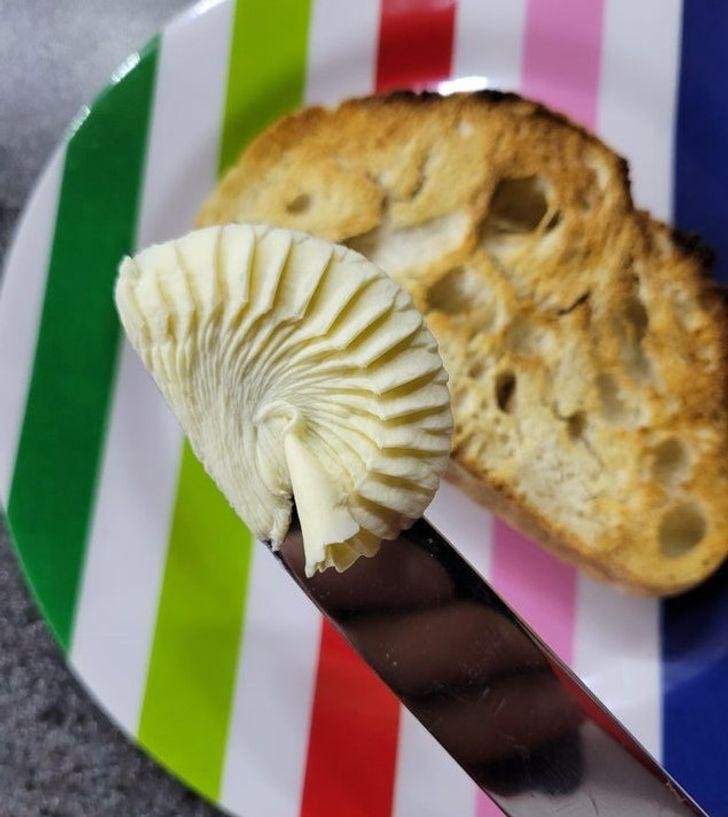 1751425026 792 19 fotos satisfatorias que sao melhor que estourar plastico bolha 1636953475 801 19 fotos satisfatorias que sao melhor que estourar plastico bolha