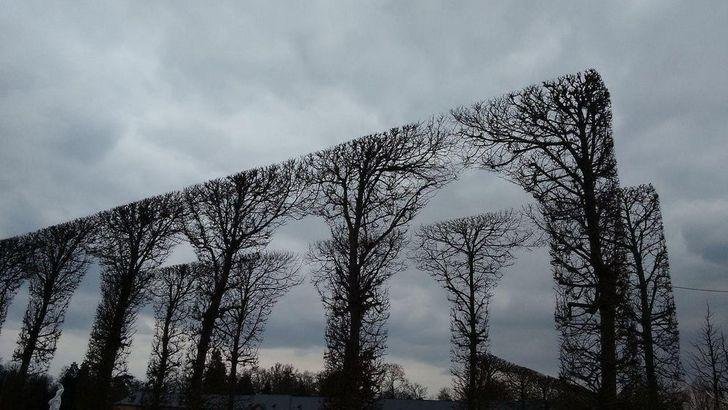 1751425046 31 19 fotos satisfatorias que sao melhor que estourar plastico bolha 1636953488 160 19 fotos satisfatorias que sao melhor que estourar plastico bolha
