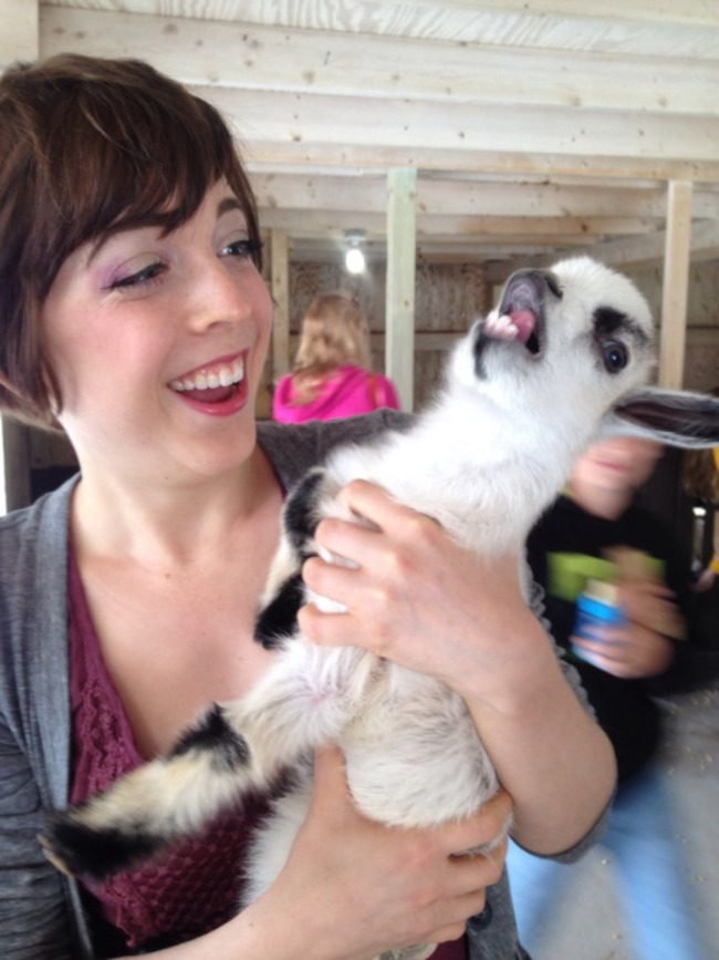 animais-querem-voce-pare-2