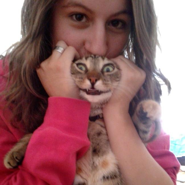 animais-querem-voce-pare-10