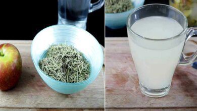 Ferva maçã com alecrim e confira os incríveis benefícios deste chá