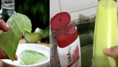 1751480127 shampoo de babosa fortalece os fios e proporciona brilho e Shampoo de babosa: fortalece os fios e proporciona brilho e maciez aos cabelos