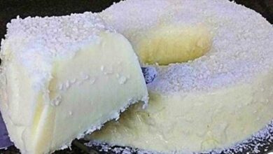 Pudim de leite com coco sem ovos e sem forno pura delícia