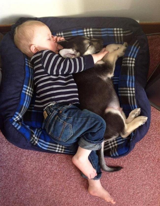 1751483771 519 13 criancas que ainda tem muitas duvidas sobre dormir corretamente Crianca-Dorminhoca-9