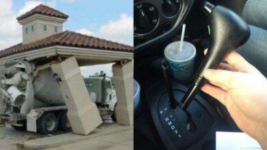 20 vezes que a vida decidiu mostrar que não está fácil para ninguém